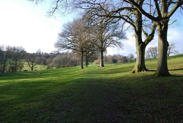 The Hangers Way near King John's Hill