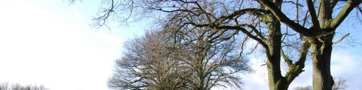 Photo "The Hangers Way near King John's Hill" by Nigel Chadwick (Creative Commons Attribution-Share Alike 2.0) / Cropped from original