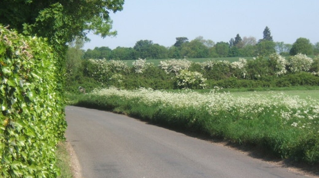 "Barningham"-foto av Andrew Hill (CC BY-SA) / Urklipp från original