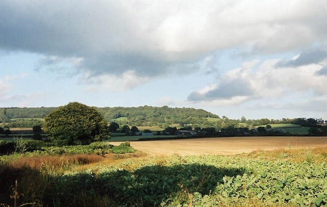 Payhembury: Hembury from near Haskins Cross. View to Broadhembury. The ramparts and ditches of Hembury, an Iron Age hillfort, remain at the end of the wooded ridge