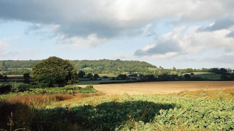 Photo "Payhembury: Hembury from near Haskins Cross. View to Broadhembury. The ramparts and ditches of Hembury, an Iron Age hillfort, remain at the end of the wooded ridge" by Martin Bodman (Creative Commons Attribution-Share Alike 2.0) / Cropped from original