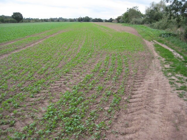 "Kempsey"-foto av Philip Halling (CC BY-SA) / Urklipp från original