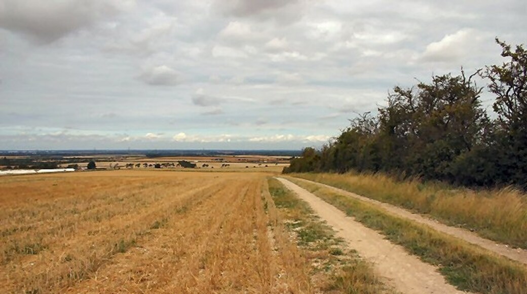 "West Wratting"-foto av Bob Jones (CC BY-SA) / Urklipp från original