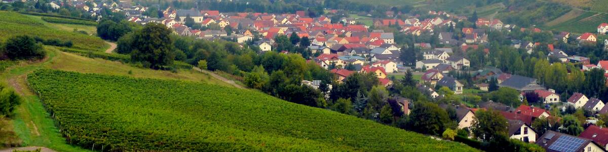 Photo "Guldental - Ortsteil Waldhilbersheim" by giggel (Creative Commons Attribution 3.0) / Cropped from original