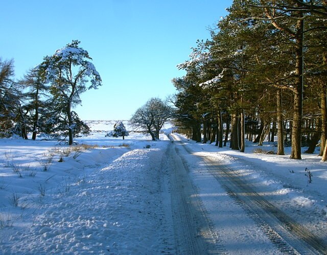 Kuva ”Gilmonby” käyttäjältä Andy Waddington (CC BY-SA) / rajattu alkuperäisestä kuvasta