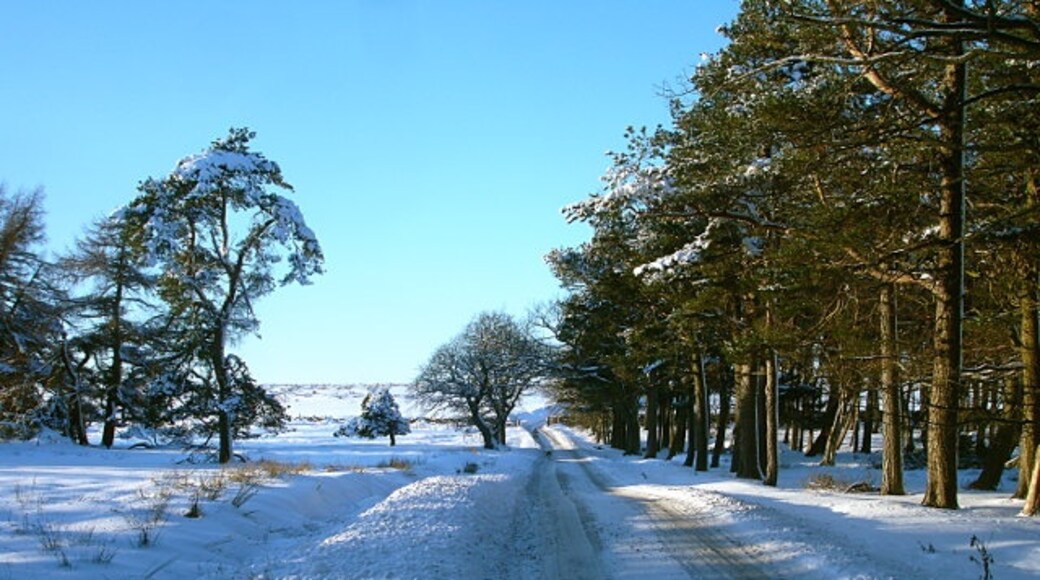 "Gilmonby"-foto av Andy Waddington (CC BY-SA) / Urklipp från original