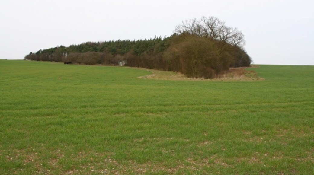 Kuva ”Langley” käyttäjältä Duncan Grey (CC BY-SA) / rajattu alkuperäisestä kuvasta