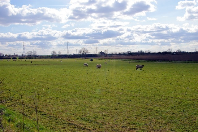 South of Abbey Farm. Picture taken from the road between Thornton Abbey and Ulceby looking approx. southwest.