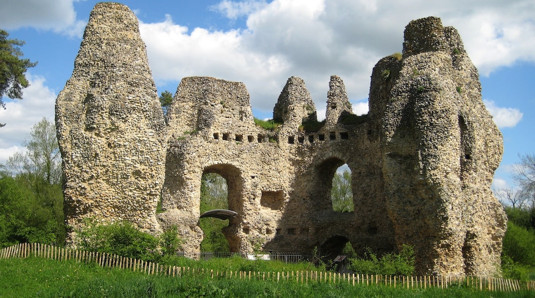 Photo "Odiham Castle" by BabelStone (CC BY-SA) / Cropped from original