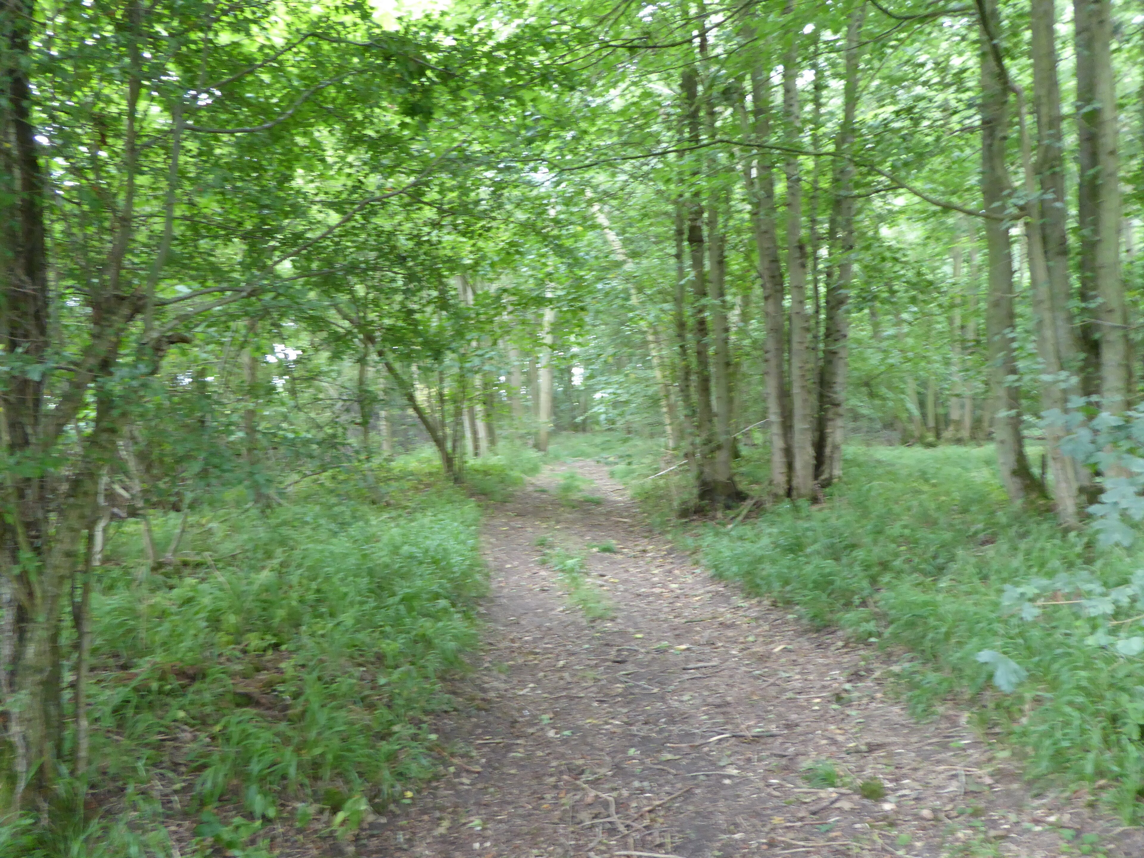 Billede "Thorpe Morieux" af Dudley Miles (CC BY-SA) / beskåret fra det originale billede