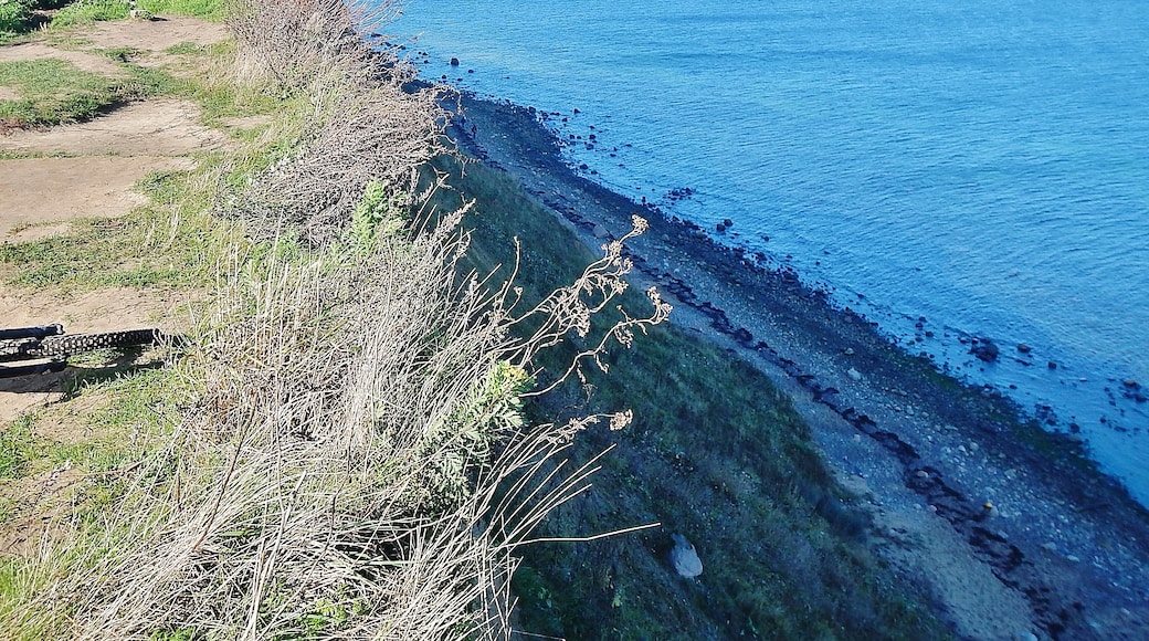 Photo "Boltenhagen Cliffs" by qwesy qwesy (CC BY) / Cropped from original