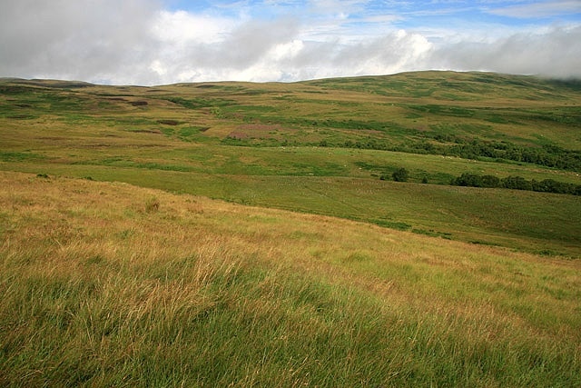 Rough grazing at South Grain Hill grazing viewed from Newhouse Kip.