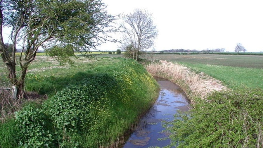Photo "Nafferton Drain, Brigham, East Riding of Yorkshire, England. Looking north-northeast from Nafferton Drain Bridge on the B1249 near Tinkers' Nook, north of Brigham." by Paul Glazzard (Creative Commons Attribution-Share Alike 2.0) / Cropped from original