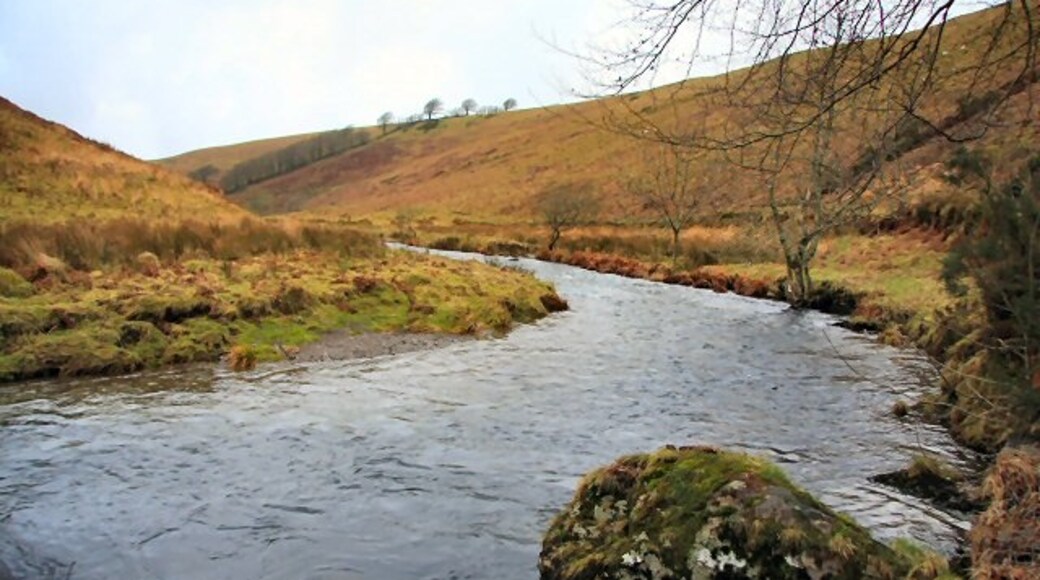 "Exmoor"-foto av Bob Jones (CC BY-SA) / Urklipp från original