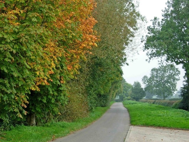 Atterton Lane, Witherley Autumnal colours are appearing opposite the entrance to Kennel Farm.