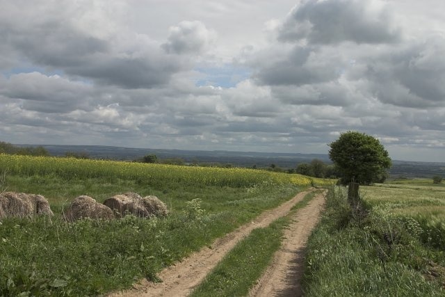 Photo "Aislaby" by colin grice (CC BY-SA) / Cropped from original