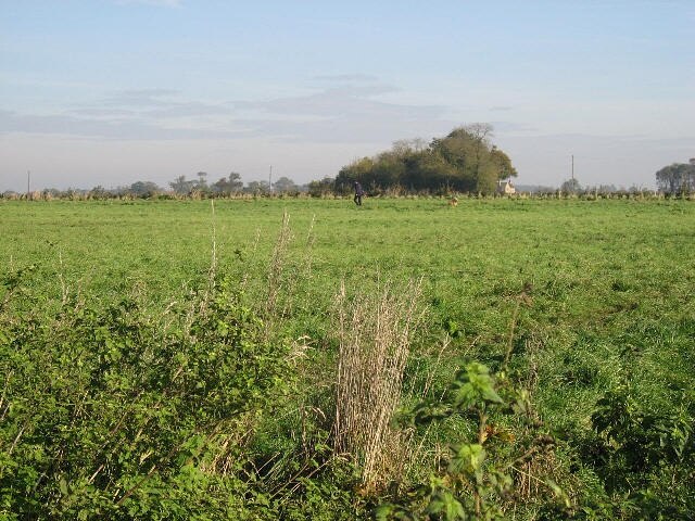 Foto „Ashill“ von Roger Gilbertson (CC BY-SA)/zugeschnittenes Original