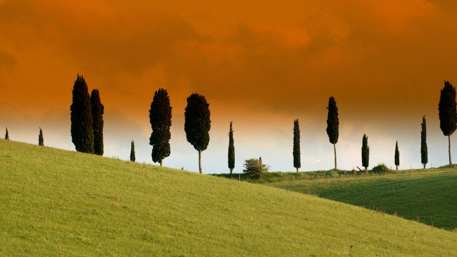 Photo "Toscana Italia" by Joaqimo Kolloch (Creative Commons Attribution 3.0) / Cropped from original