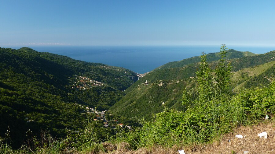 Photo "Sori, dalla provinciale per il Monte Fasce" by Terensky (Creative Commons Attribution 3.0) / Cropped from original