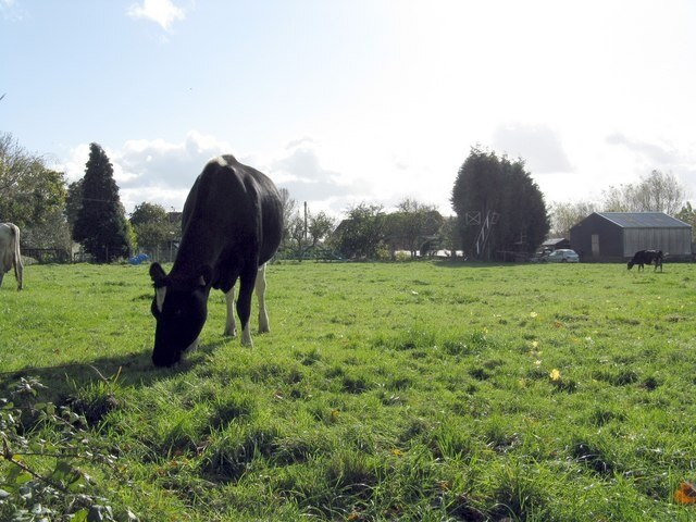 Foto “Tibberton” tomada por Whatlep (CC BY-SA); recorte de la original