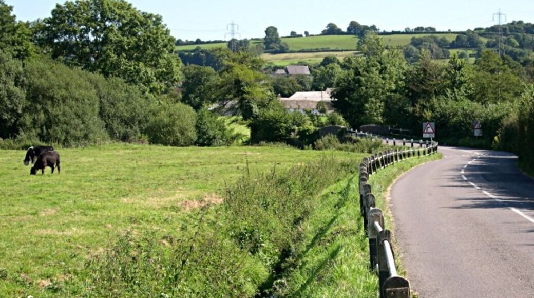 Kuva ”Combe Raleigh” käyttäjältä Tony Atkin (CC BY-SA) / rajattu alkuperäisestä kuvasta