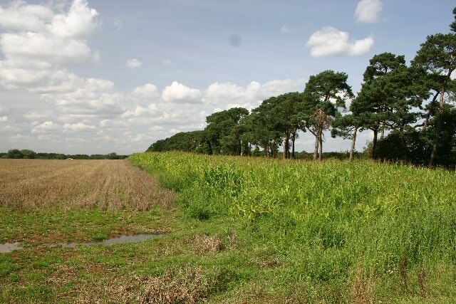 Foto "Herringswell" por Bob Jones (CC BY-SA) / Recortada de la original