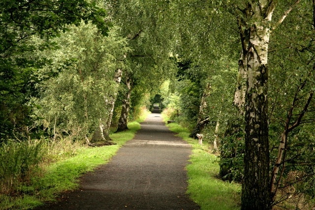 Derwent Walk & Cycleway, Priestfield Wood. A section of this excellent footpath and cycleway on the former trackbed of the three rivers railway. More information at: http://www.cycle-routes.org/threerivers/3r_bridges/derwent_bridges.html