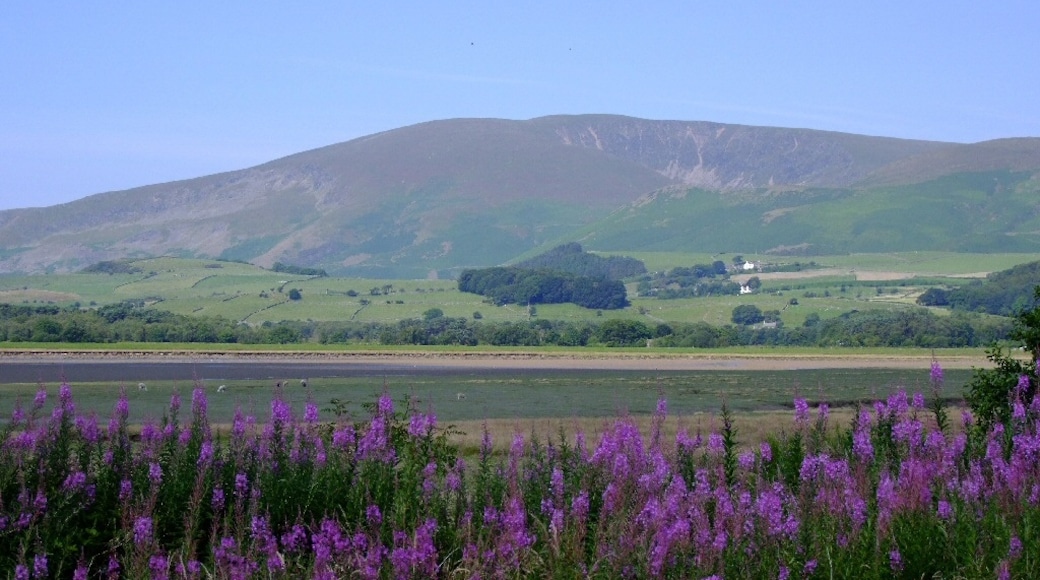 Photo "Foxfield" by Silence-is-infinite (page does not exist) (CC BY-SA) / Cropped from original