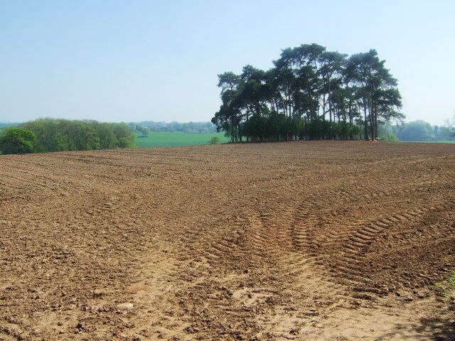 "Moreton Say"-foto av John Poyser (CC BY-SA) / Urklipp från original