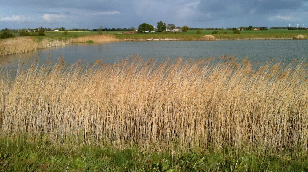 Photo "Whittlesey" by AliV (CC BY-SA) / Cropped from original