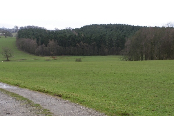 Foto “Hoff” tomada por mauldy (CC BY-SA); recorte de la original