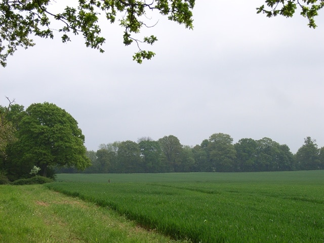 Farmland near Mill Lane. On the footpath east of Itchel Mill Springs.