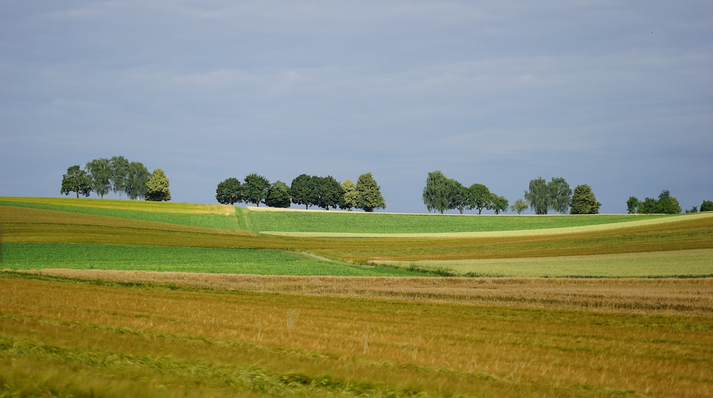 Photo "Bonfeld" by Aristeas (CC BY-SA) / Cropped from original