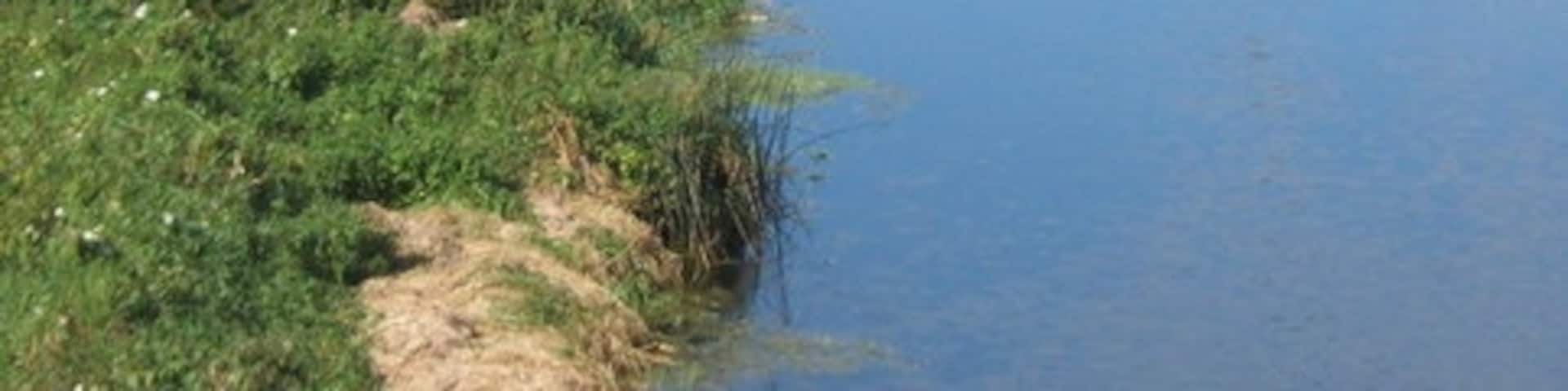 大布莱克纳姆, 伊普斯维奇, 英格兰, 英国