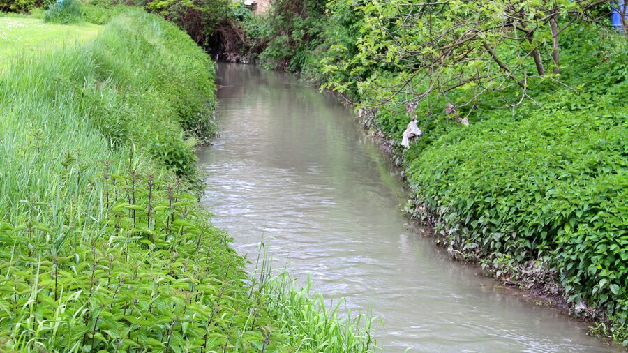 Photo "Canale Navile: Canaletta" by Carlo Pelagalli (Creative Commons Attribution-Share Alike 3.0) / Cropped from original