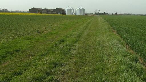 Kuva ”Habrough” käyttäjältä John Beal (CC BY-SA) / rajattu alkuperäisestä kuvasta