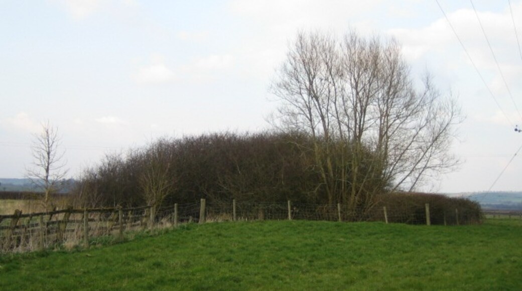 Photo "Woodham" by Andy Gryce (CC BY-SA) / Cropped from original