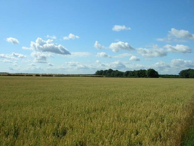 Foto “Warter” tomada por JThomas (CC BY-SA); recorte de la original