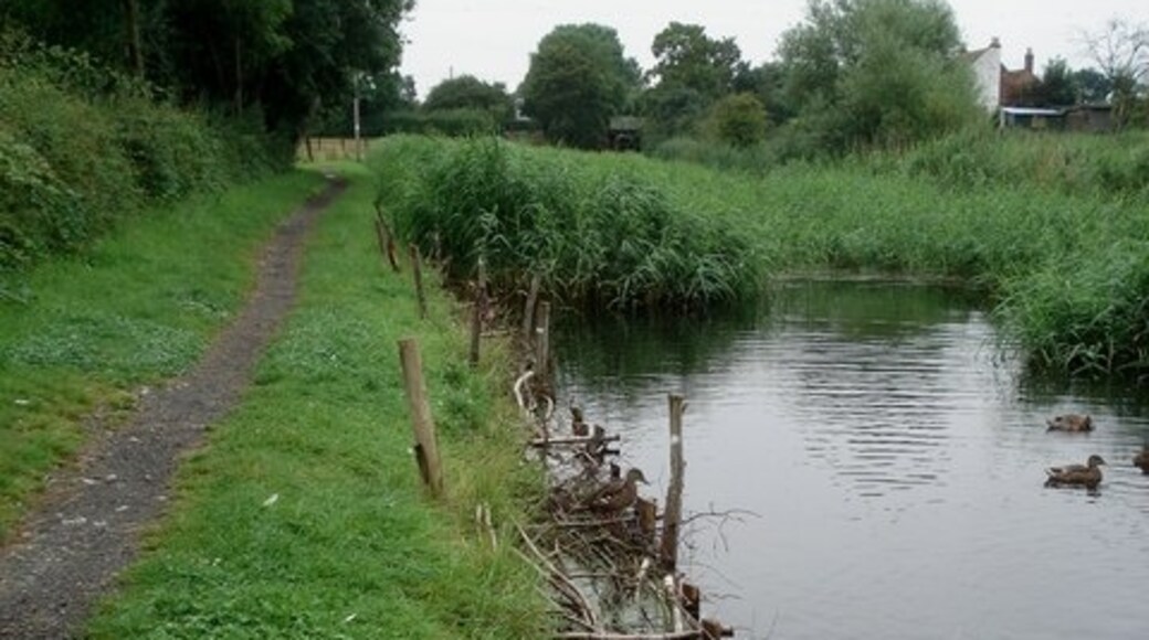 Foto “Martin Hussingtree” tomada por Trevor Rickard (CC BY-SA); recorte de la original