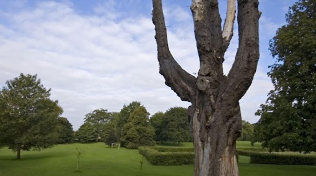 Photo "Baysgarth Park" by Paul Harrop (CC BY-SA) / Cropped from original