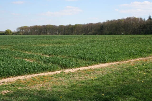 Foto “Kirkby Underwood” tomada por Kate Jewell (CC BY-SA); recorte de la original