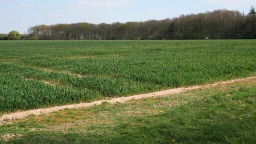 Foto “Kirkby Underwood” tomada por Kate Jewell (CC BY-SA); recorte de la original