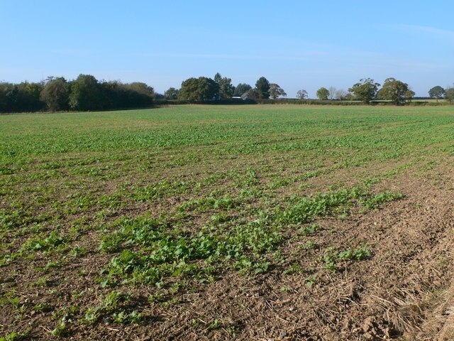 "Loppington"-foto av Eirian Evans (CC BY-SA) / Urklipp från original