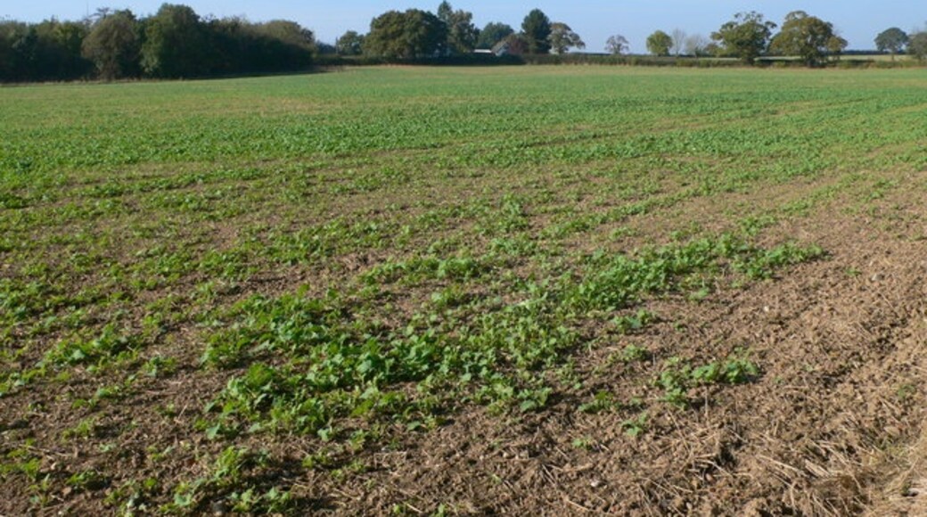 "Loppington"-foto av Eirian Evans (CC BY-SA) / Urklipp från original