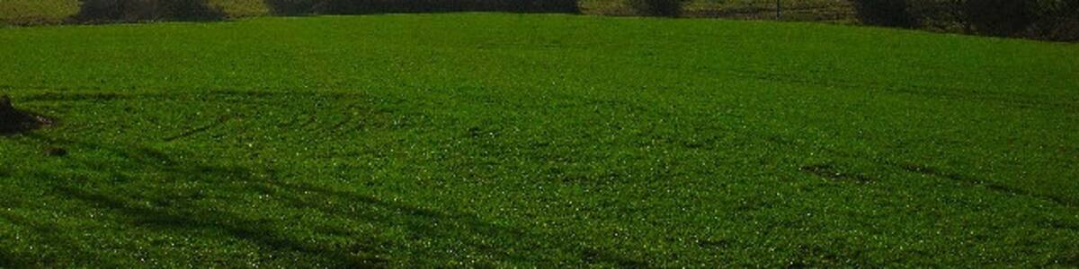 Photo "Electricity Pylons, Pevensey Levels. This view looks south west from the footpath that links Wartling with Herstmonceux. Following the line of pylons TQ6408 covers the area after the first pylon and midway between the second and third." by Simon Carey (Creative Commons Attribution-Share Alike 2.0) / Cropped from original