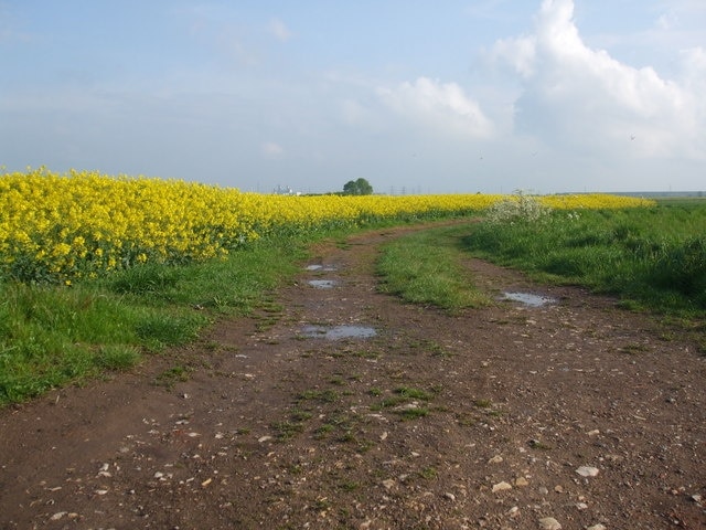 Photo "Luddington and Haldenby" by Glyn Drury (CC BY-SA) / Cropped from original