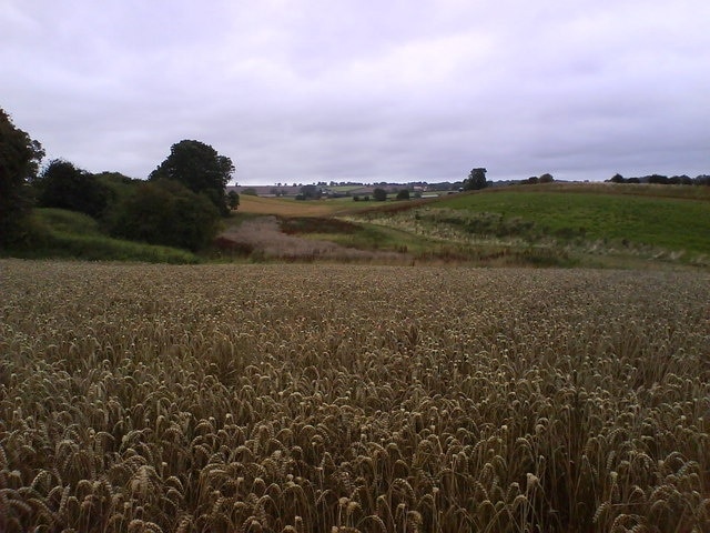 Arable Fields Crops in various states in the fields surrounding Union House.