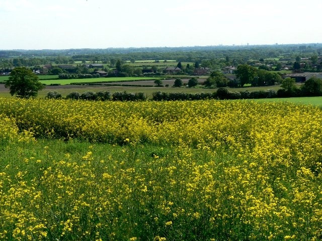 Vale of York, Holme-on-Spalding-Moor, East Riding of Yorkshire, England. View north from Holme on Spalding Moor Parish Church