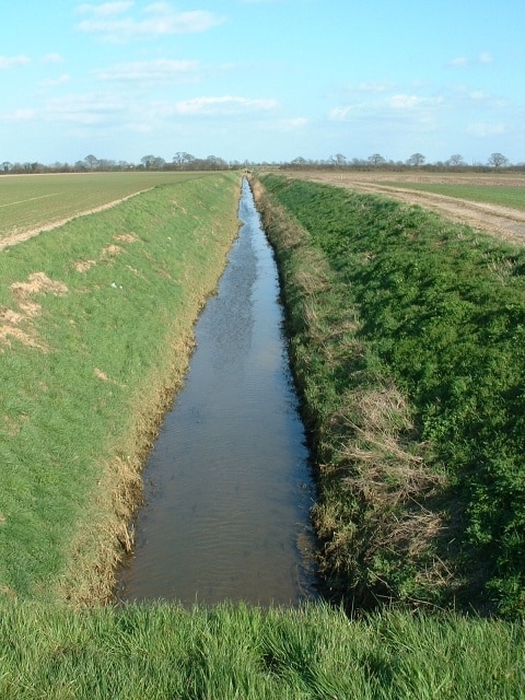 Land Drain off New Road New Road stretches out into the reclaimed marshland north of the busy village of Sutton Bridge.