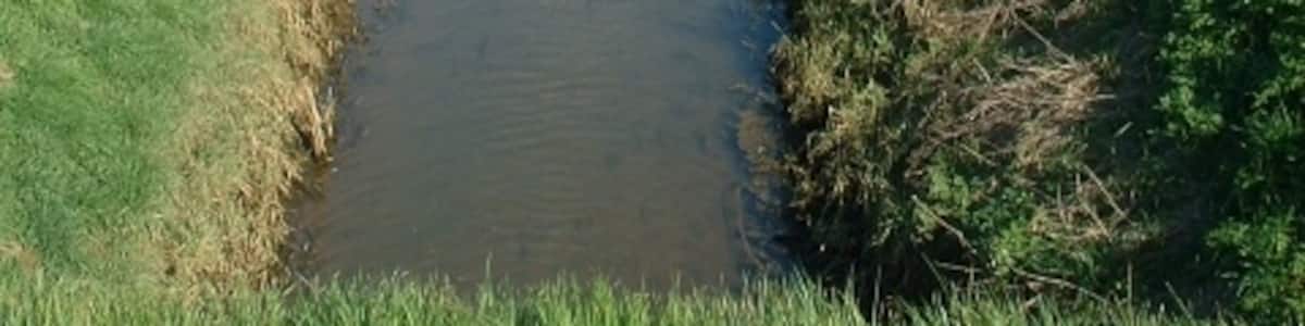 Photo "Land Drain off New Road New Road stretches out into the reclaimed marshland north of the busy village of Sutton Bridge." by David Prestidge (Creative Commons Attribution-Share Alike 2.0) / Cropped from original